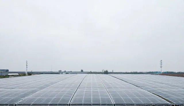 批发零售选品建议：库存周转与市场响应